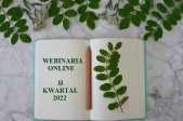 grafika